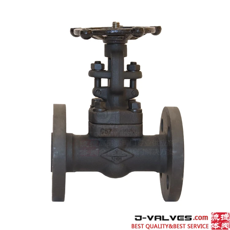 Stainless Steel/Carbon Steel/A105/FL2/F11/F22/F5/F304/F316/F321 Flange & Thread & Butt Weld & Socket Weld Forged Steel Check Globe Gate Valve